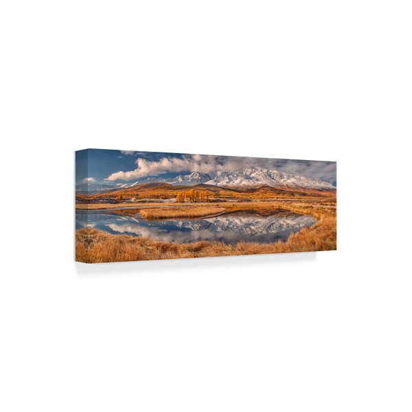 Valeriy Shcherbina 'Mirror For Mountains' Canvas Art,16x47